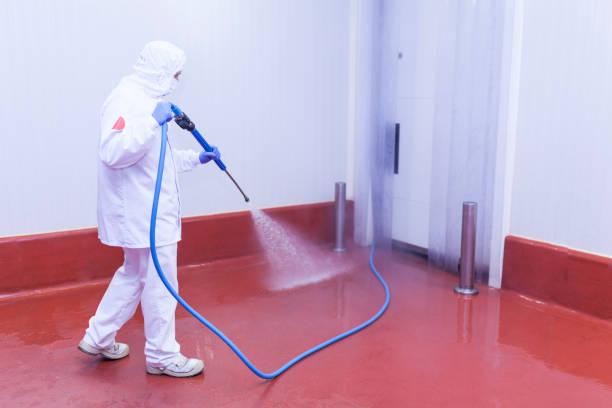 Best Roof Cleaning and Mildew Removal in Springfield, TN
