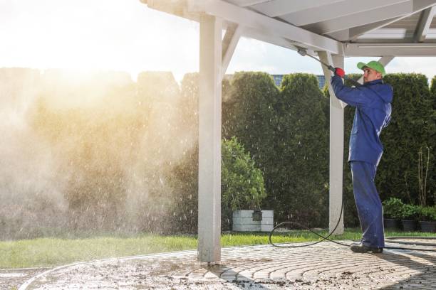 Best Fence Cleaning and Maintenance in Springfield, TN